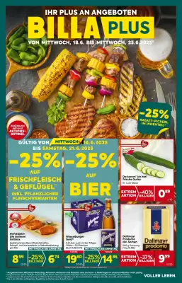 Billa Flugblatt (gültig bis 25-06)