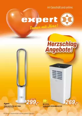 Expert Flugblatt (gültig bis 1-07)
