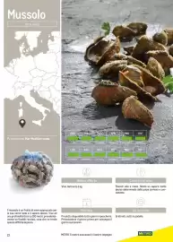 Volantino Metro Pagina 13