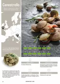 Volantino Metro Pagina 14