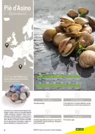 Volantino Metro Pagina 15