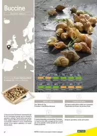 Volantino Metro Pagina 17