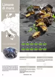 Volantino Metro Pagina 18