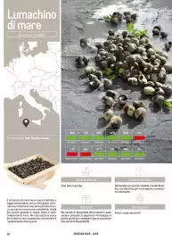 Volantino Metro Pagina 20