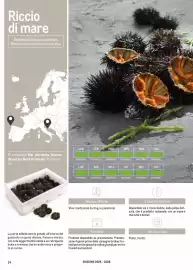 Volantino Metro Pagina 24