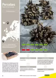 Volantino Metro Pagina 25