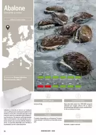 Volantino Metro Pagina 26