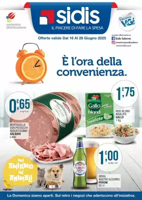 Volantino Sidis (valido fino al 28-06)