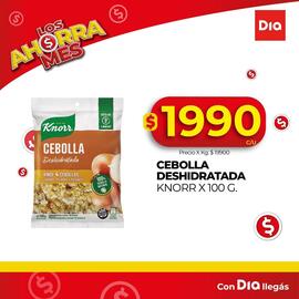 Catálogo Supermercados DIA semana 25 Página 2