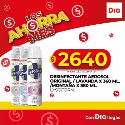 Catálogo Supermercados DIA (válido hasta 22-06)