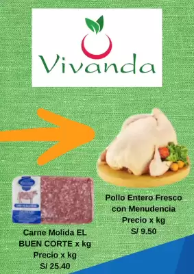Catálogo Vivanda (válido hasta 30-06)