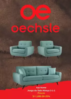 Catálogo Oechsle (válido hasta 30-06)