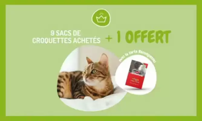Catalogue Médor et Compagnie
