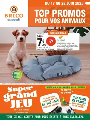 Catalogue E.Leclerc Brico (valable jusqu'au 28-06)