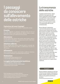 Volantino Metro Pagina 7