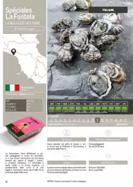 Volantino Metro Pagina 16