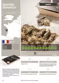 Volantino Metro Pagina 30