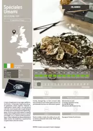 Volantino Metro Pagina 38