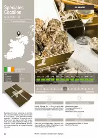 Volantino Metro Pagina 40