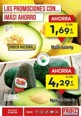 Folleto FROIZ (válido hasta el 22-06)