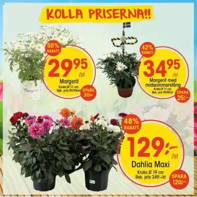 EKO reklamblad