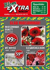 Extra Mjällby Stormarknad reklamblad vecka 25 Sida 23