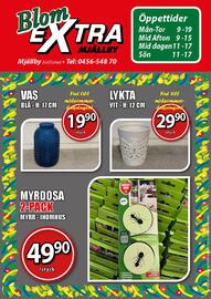 Extra Mjällby Stormarknad reklamblad vecka 25 Sida 25