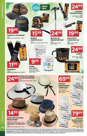 Stokrotka Market gazetka Strona 14