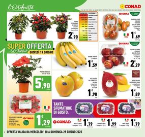 Volantino Conad Pagina 8