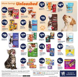 Family Dollar Weekly Ad week 25 Page 11