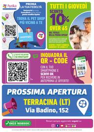 Volantino Ayoka Pagina 8