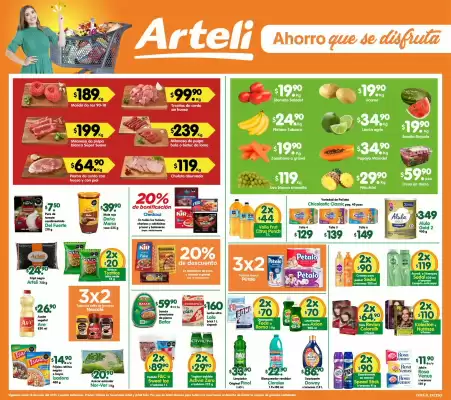 Catálogo Arteli express