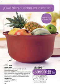 Catálogo Tupperware Página 31