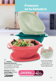 Catálogo Tupperware Página 58