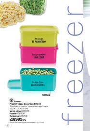 Catálogo Tupperware Página 61