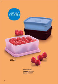 Catálogo Tupperware Página 7