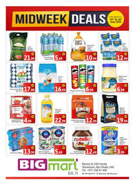 Bigmart catalogue Page 1