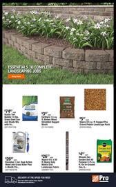 The Home Depot Weekly Ad week 25 Page 4