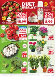 Kaufland gazetka tydzień 25 Strona 19