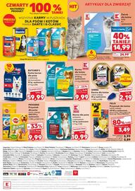 Kaufland gazetka tydzień 25 Strona 49