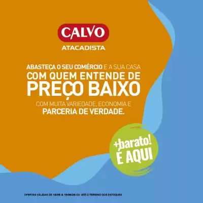 Catálogo Calvo Atacadista