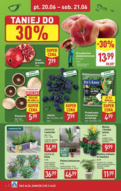 ALDI gazetka Strona 6