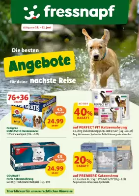Fressnapf Flugblatt (gültig bis 21-06)