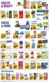 Food Lion Weekly Ad week 25 Page 12