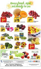 Food Lion Weekly Ad week 25 Page 13