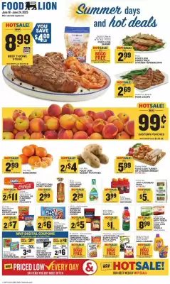Food Lion Weekly Ad