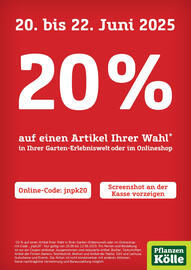 Pflanzen Kölle Prospekt Seite 1