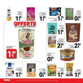 Volantino Supermercati Gulliver Pagina 21