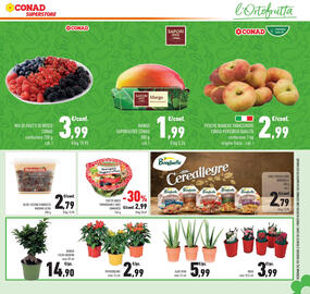 Volantino Conad Superstore Pagina 31