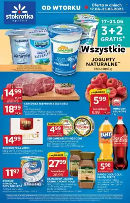 Stokrotka Optima gazetka